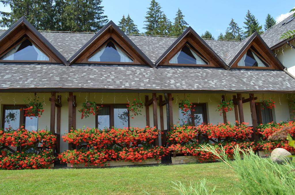 Pensiunea Inima Bucovinei Frasin Exterior foto